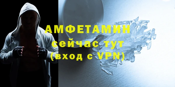 ГАЛЛЮЦИНОГЕННЫЕ ГРИБЫ Няндома