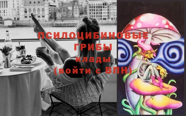 меф Осташков