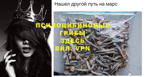 меф Осинники