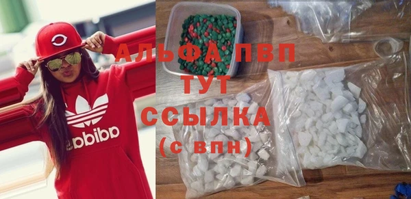 ГАЛЛЮЦИНОГЕННЫЕ ГРИБЫ Няндома