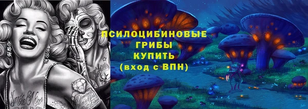 ГАЛЛЮЦИНОГЕННЫЕ ГРИБЫ Няндома