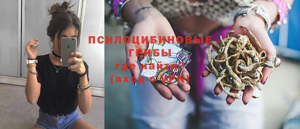 ECSTASY Нязепетровск