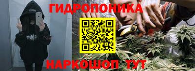 дживик Аргун