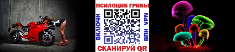 KRAKEN как войти  Большой Камень  Галлюциногенные грибы прущие грибы 