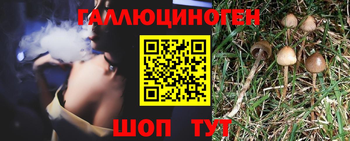 Псилоцибиновые грибы Magic Shrooms  Вход с VPN  Большой Камень 